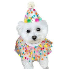 COLLAR FIESTA - ZJ232089 - Imagen 3