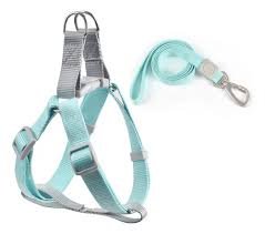 CORREA AJUSTABLE CON ANILLO D PARA CACHORROS Y PERROS MEDIANOS – FOR PET    MPO108 - Imagen 3