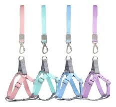 CORREA AJUSTABLE CON ANILLO D PARA CACHORROS Y PERROS MEDIANOS – FOR PET    MPO108 - Imagen 2