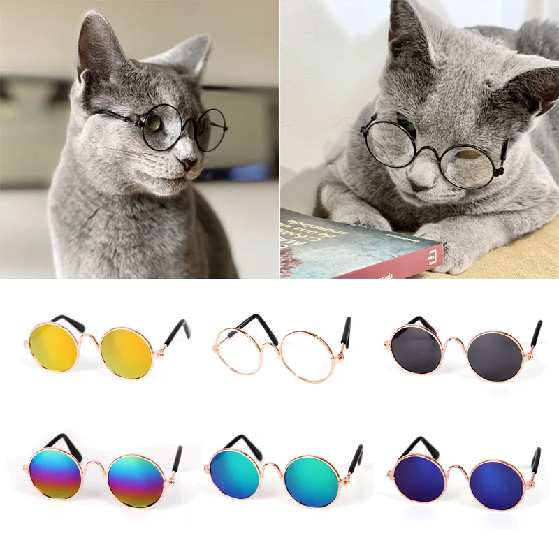 GAFAS PARA MASCOTAS CHIC ZJ225357 - Imagen 2