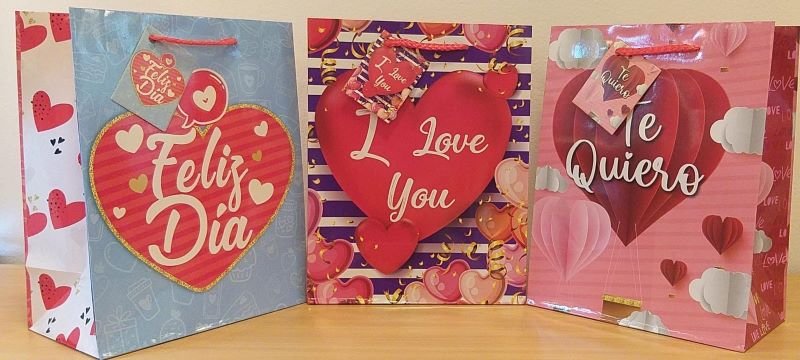 BOLSAS DE REGALO DIA ESPECIAL - 23CMSX18CMS - 13-482 - Imagen 2