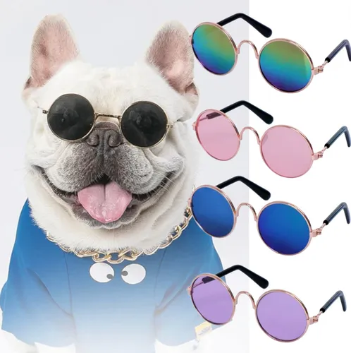 GAFAS PARA MASCOTAS CHIC ZJ225357 - Imagen 4
