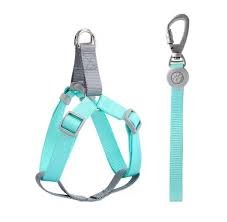 CORREA AJUSTABLE CON ANILLO D PARA CACHORROS Y PERROS MEDIANOS – FOR PET    MPO108 - Imagen 4