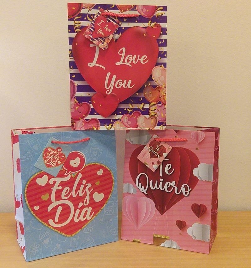 BOLSAS DE REGALO DIA ESPECIAL - 23CMSX18CMS - 13-482 - Imagen 3